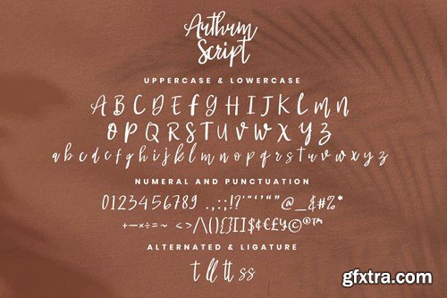 Authum Script - Handwritten Script fonts CQAZNCV Authum Script - Handwritten Script fonts CQAZNCV