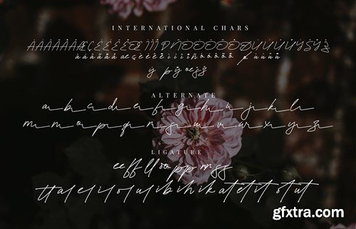 Zavilla Signature Handdwritten 9DL49RD Zavilla Signature Handdwritten 9DL49RD