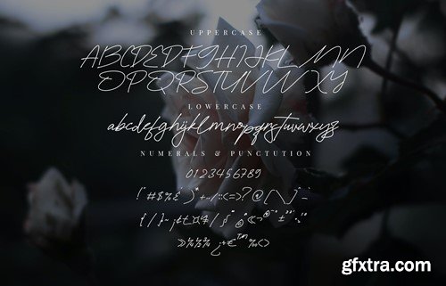 Zavilla Signature Handdwritten 9DL49RD Zavilla Signature Handdwritten 9DL49RD