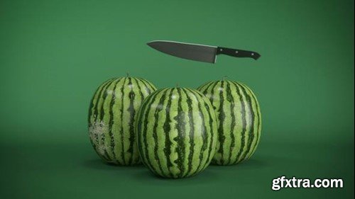 Videohive Watermelon Logo Reveal 22881389