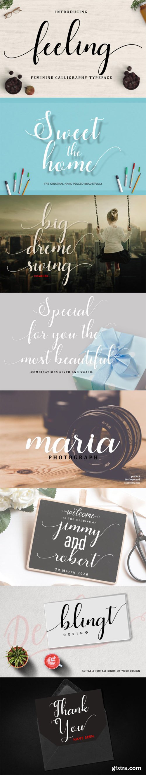 Feeling - Calligraphy Script Typeface