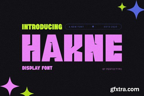 Hakne Modern Futuristic Sans Serif Font FJ695VU Hakne Modern Futuristic Sans Serif Font FJ695VU