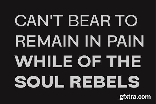 Sunsive Family Font ARAL8P9 Sunsive Family Font ARAL8P9