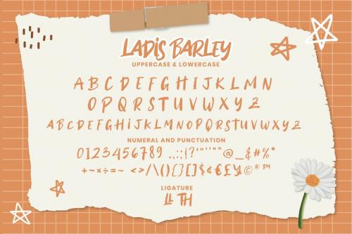 Ladis Barley - Handwritten Script fonts