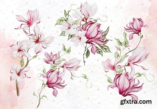 Magnolia bouquet 1 ZKM3K9W Magnolia bouquet 1 ZKM3K9W