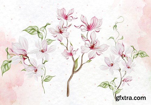 Magnolia bouquet 1 ZKM3K9W Magnolia bouquet 1 ZKM3K9W