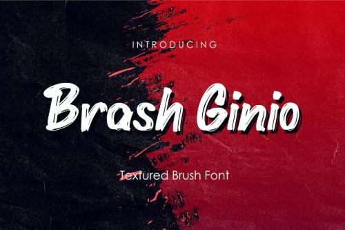 Brash Ginio - Textured Brush Font