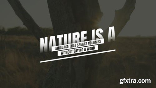 Videohive Text Animation 48999905