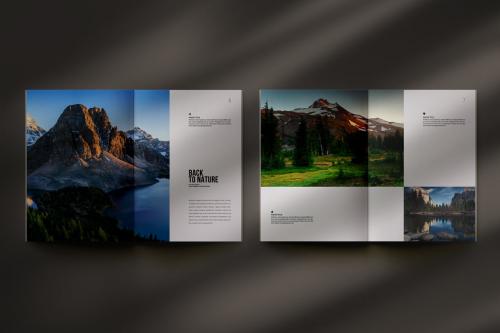 Photography Portfolio / Photobook / Photo Album