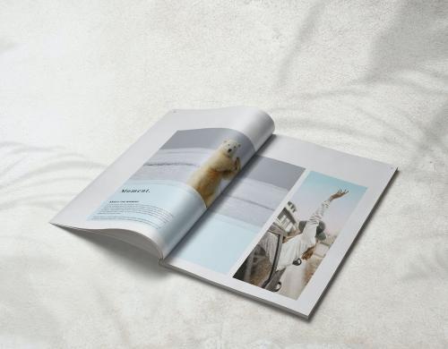 Sheilla Photography Portfolio