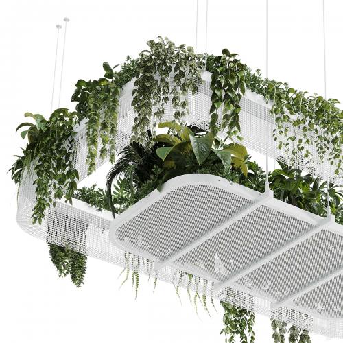 Hanging plants - indoor plant 323 vray