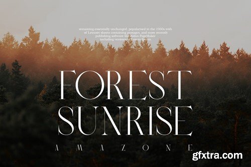 Parisiene | Modern Serif U6P76QP