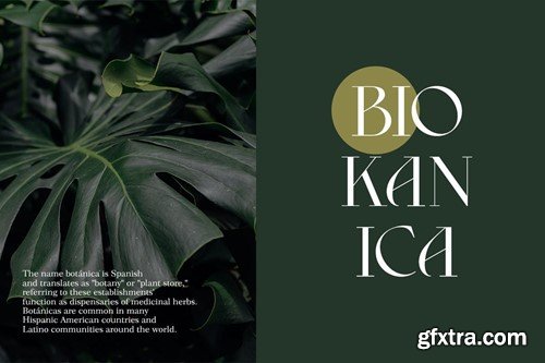 Caprise | Modern Serif CWGVPAG