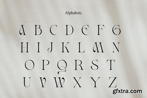 Honey Mustard | Display Stylish VDWBKYH