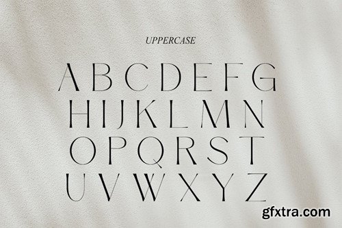 Margiola | Modern Serif CML4TXV