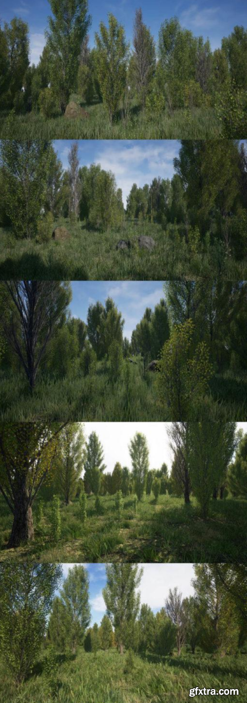 Unreal Engine - Poplars Pack (Populus Rigra f. Pyramidalis)