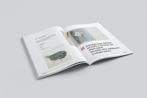 Portfolio Brochure Portfolio Brochure