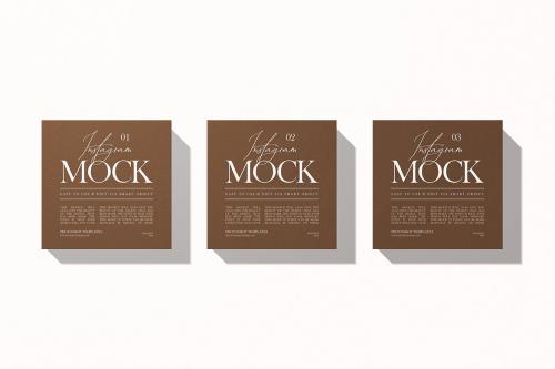 Branding Instagram Post Mockup Branding Instagram Post Mockup