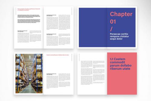 Logistic and Real State Report