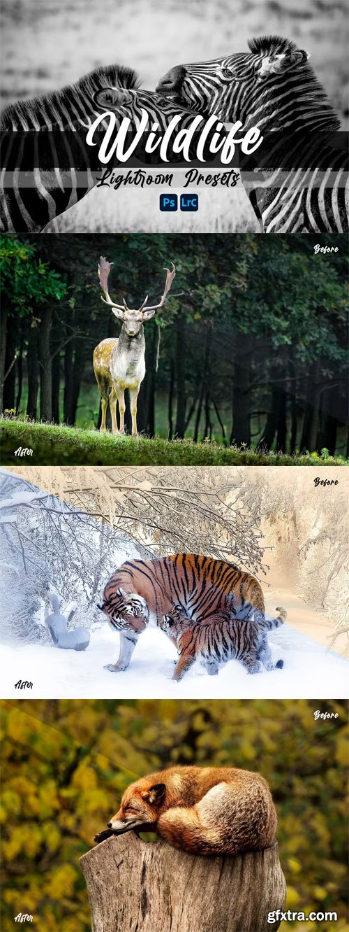 Wildlife Presets for Lightroom