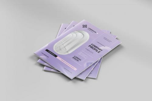 Company Profile Company Profile