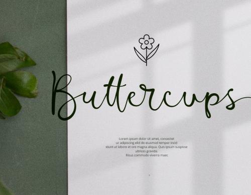 Barona Script - Handwritten Signature Font