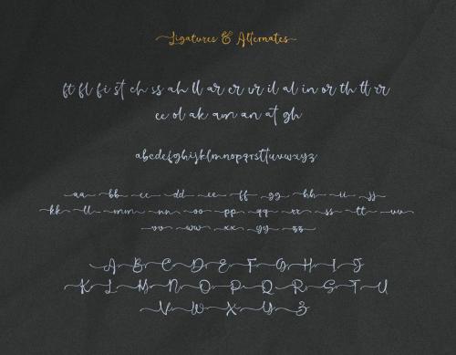 Barona Script - Handwritten Signature Font