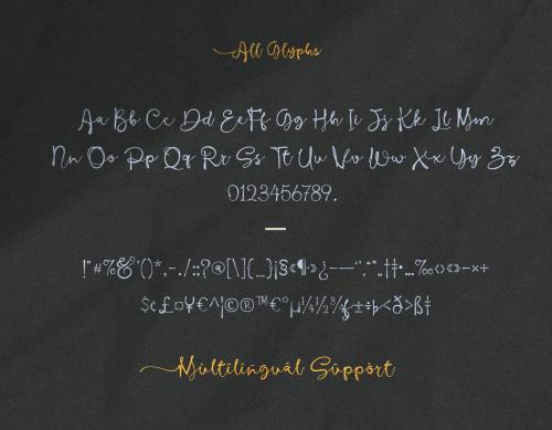 Barona Script - Handwritten Signature Font