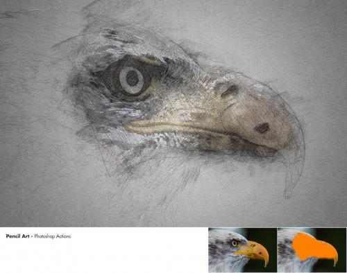 Pencil Art - Photoshop Actions Pencil Art - Photoshop Actions