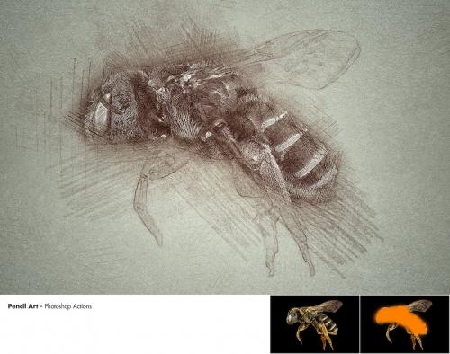 Pencil Art - Photoshop Actions Pencil Art - Photoshop Actions