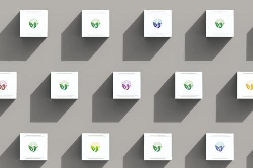 Square Box Mockup Square Box Mockup