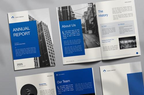 Bone Annual Report Bone Annual Report