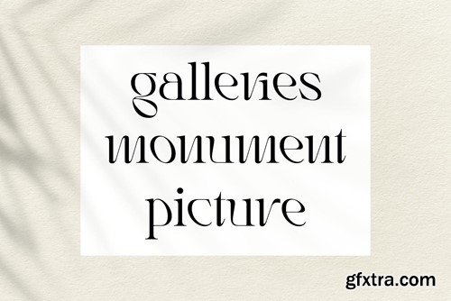 Rogain - Modern Serif Font KDRXNS2