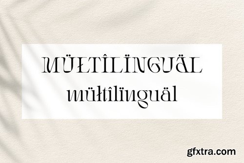 Rogain - Modern Serif Font KDRXNS2