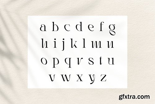 Rogain - Modern Serif Font KDRXNS2
