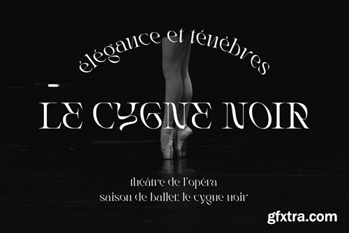 Rogain - Modern Serif Font KDRXNS2