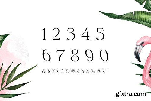 Rogain - Modern Serif Font KDRXNS2