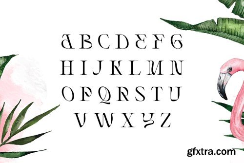 Rogain - Modern Serif Font KDRXNS2