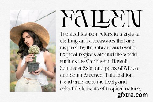 Rogain - Modern Serif Font KDRXNS2