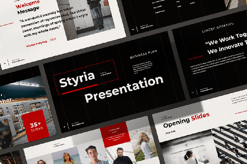 Styria Business Plan - Presentation Styria Business Plan - Presentation