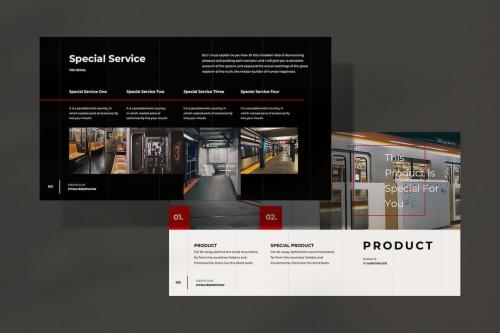 Styria Business Plan - Presentation Styria Business Plan - Presentation