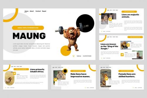 Maung - Animal Desert Lion Powerpoint Template Maung - Animal Desert Lion Powerpoint Template