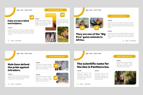 Maung - Animal Desert Lion Powerpoint Template Maung - Animal Desert Lion Powerpoint Template