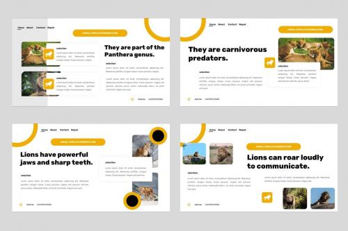 Maung - Animal Desert Lion Powerpoint Template Maung - Animal Desert Lion Powerpoint Template