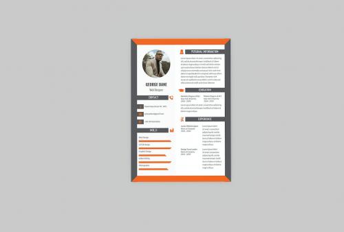 Premium Resume Designer Premium Resume Designer
