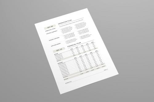 Business Plan Sheet Business Plan Sheet