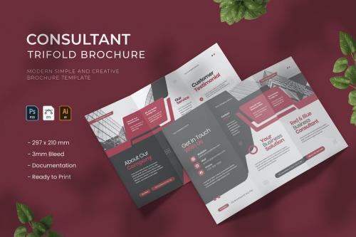 Consultant - Trifold Brochure Consultant - Trifold Brochure