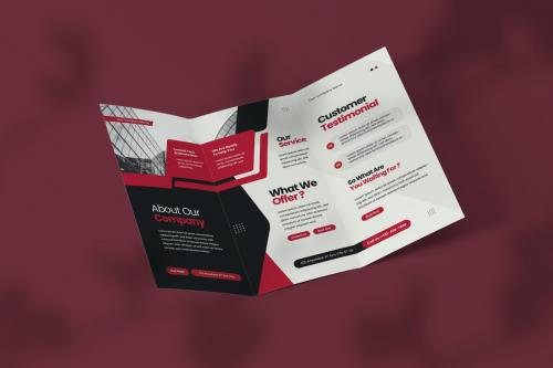 Consultant - Trifold Brochure Consultant - Trifold Brochure