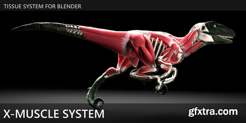 Blender Market - X-Muscle System 4.0