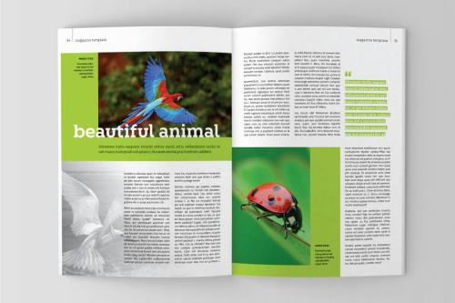 COLOUR - Magazine Template COLOUR - Magazine Template